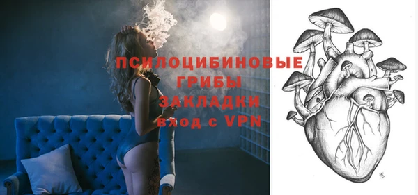 spice Новозыбков