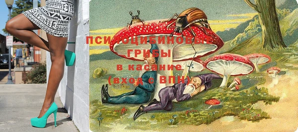 spice Новозыбков
