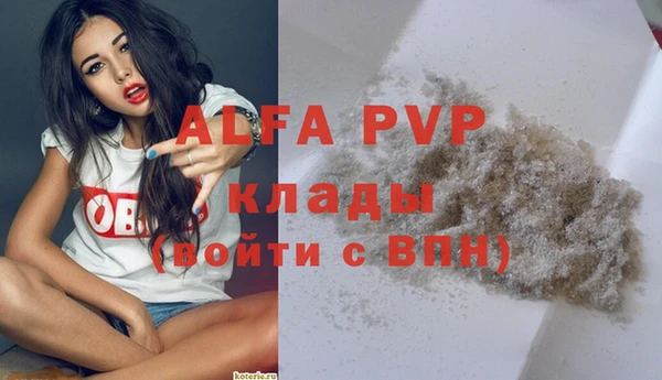 spice Новозыбков