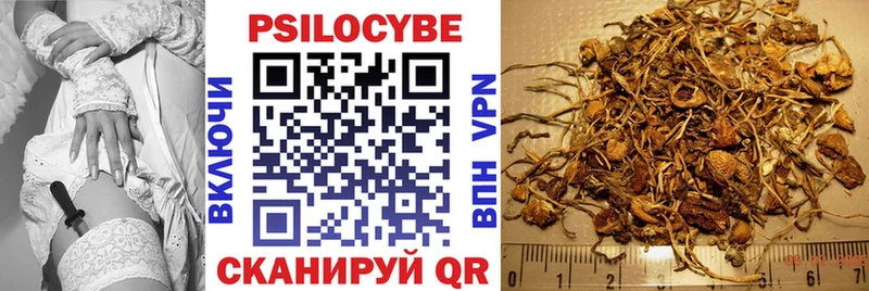 kraken маркетплейс  наркошоп  Нижний Тагил  Галлюциногенные грибы Magic Shrooms 